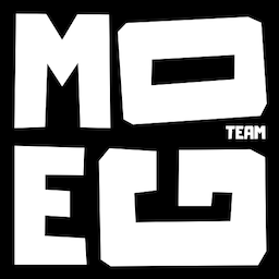 TeamMoeg